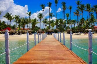 view of palm trees on beach